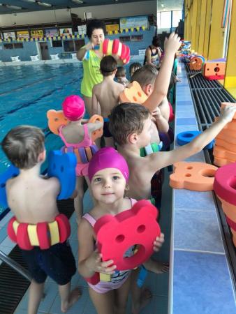 Plavání Písek 2019