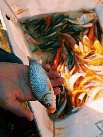 Návštěva Výzkumného ústavu rybářství