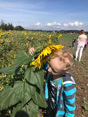 Vycházka na cyklostezku