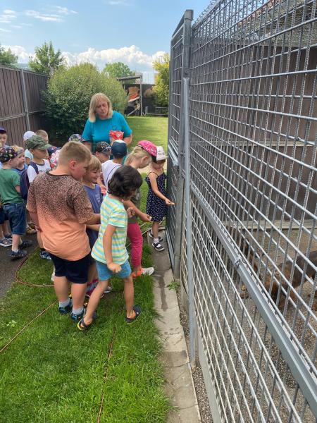 Návštěva psího útulku ve Strakonicích