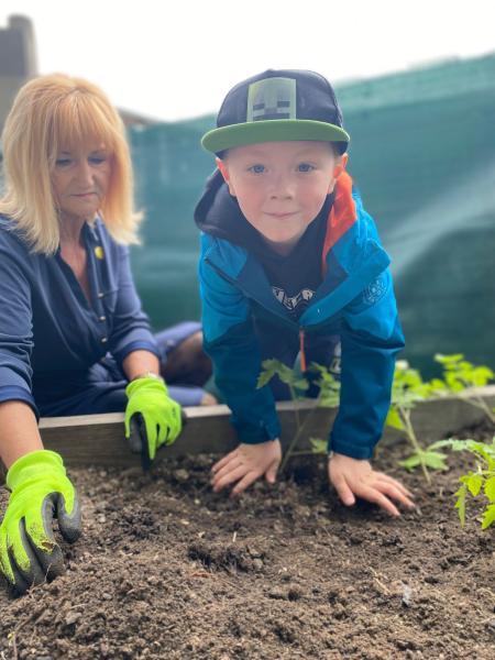 Sázení rajčat - Zasaď a Přežij